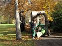 2009-11-05, leuchtender November (5)